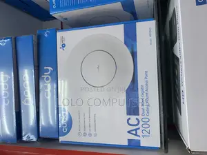 Ceiling Mount Access Point