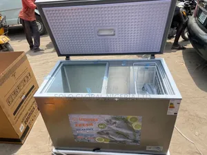 Snowsea Freezer 300l