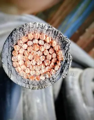 1x500mm2 Pvc/Pvc Cable