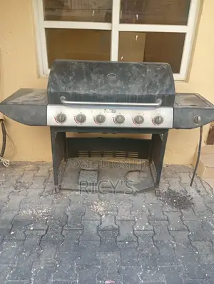 Gas BBQ Grill