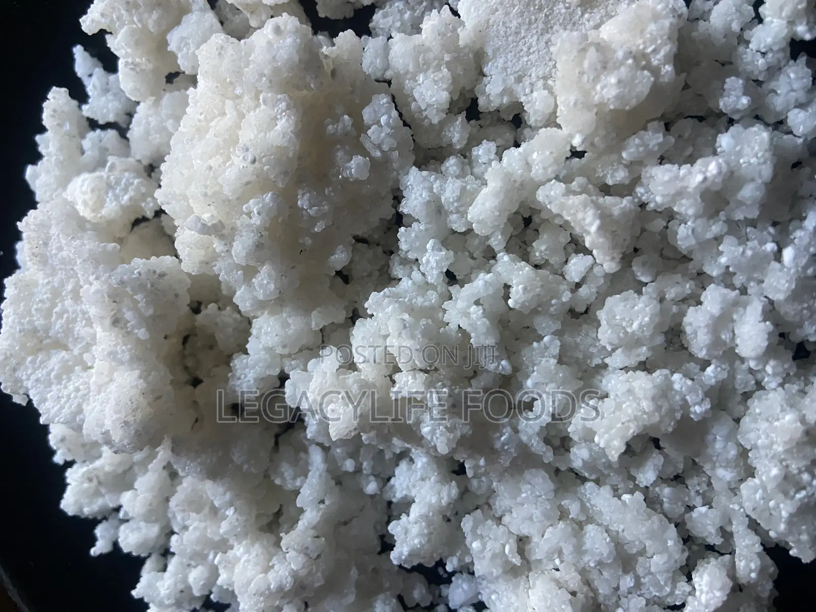 Tapioca Pearl