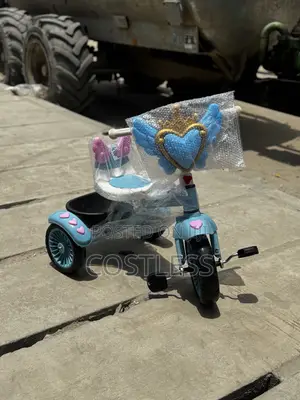 Kids Unisex Bicycle