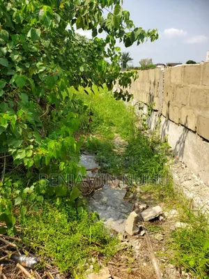 A C of O of Fully Dry Half Plot of Land in a Buy Built Environment