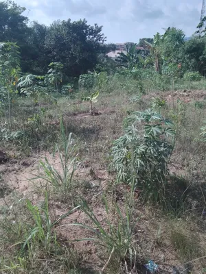 Empty Land Available for Lease