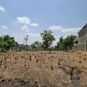 Filling Station Land