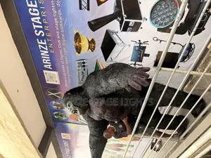 Gorilla Mascot