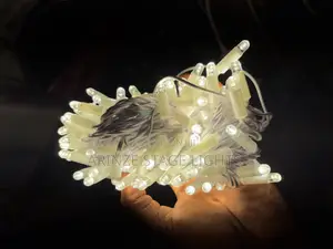 100bulbs Outdoors Led Rice Light