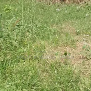 Commercial Half Plot on Major Road for Sale