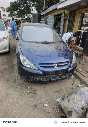 Peugeot 307 2008 Blue