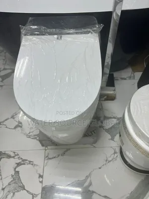 Luxury Smart Sensor Water Closet (Automatic Flush Wc)