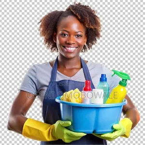 Cleaning and Fumigation Services