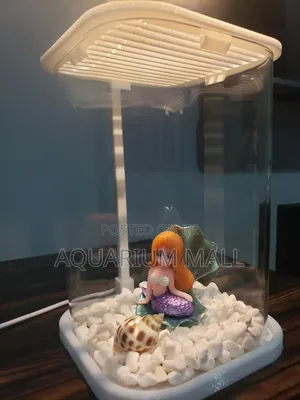 Table Top Aquarium