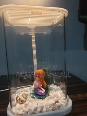 Table Top Aquarium