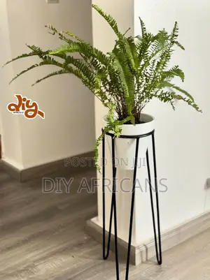 Quality Diy Planters - Multiple Designs Available