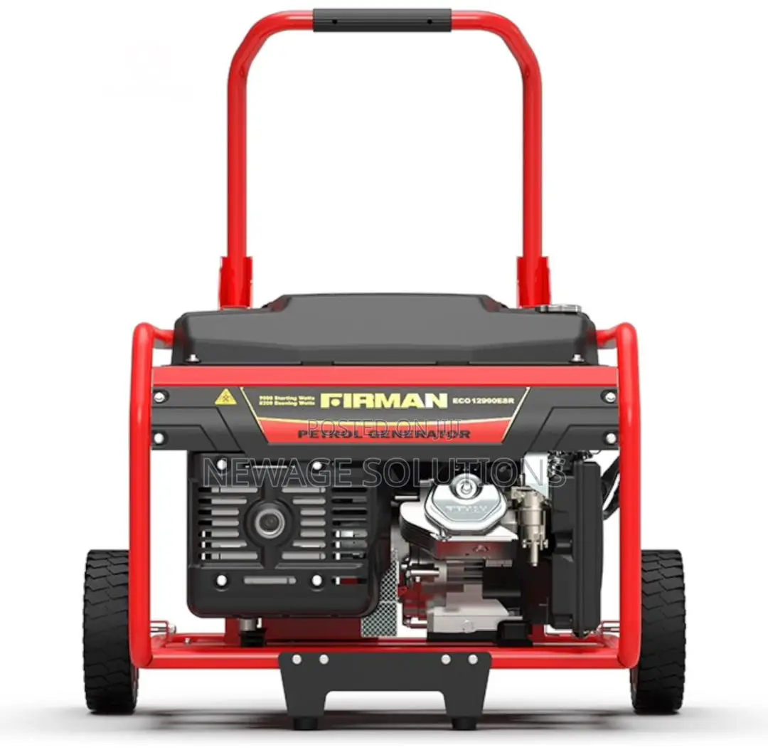Firman Eco12990esr Generator