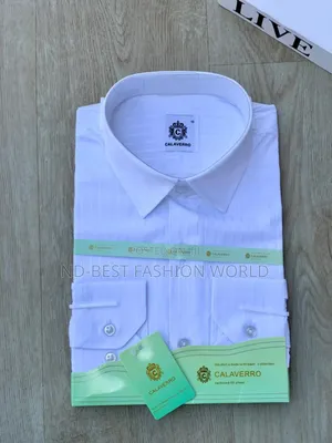 Men's Quality Shirts