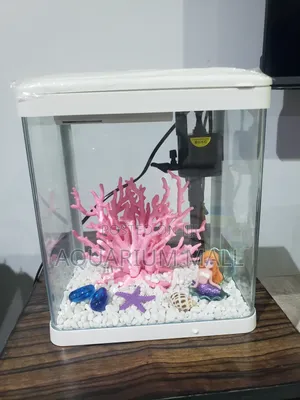 Aquarium Tank