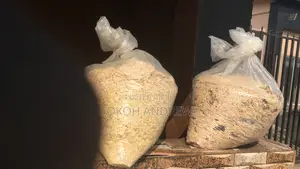 Dog Indomie and Rice and Some Other Supplements