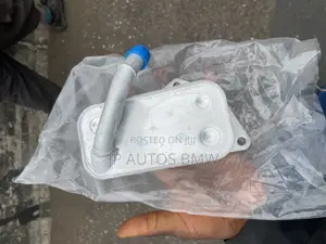 BMW Coolant N52