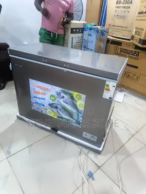 Bd-370g Snowsea 250l Frozen Storage Appliance