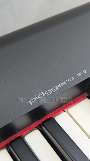 Yamaha Piaggero Np-12