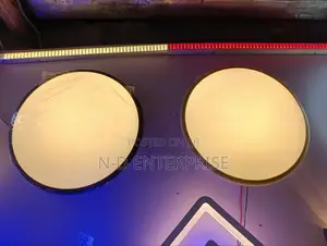 Led Ceiling Fitting
