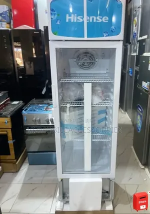 Hisense Fl30fc 222l