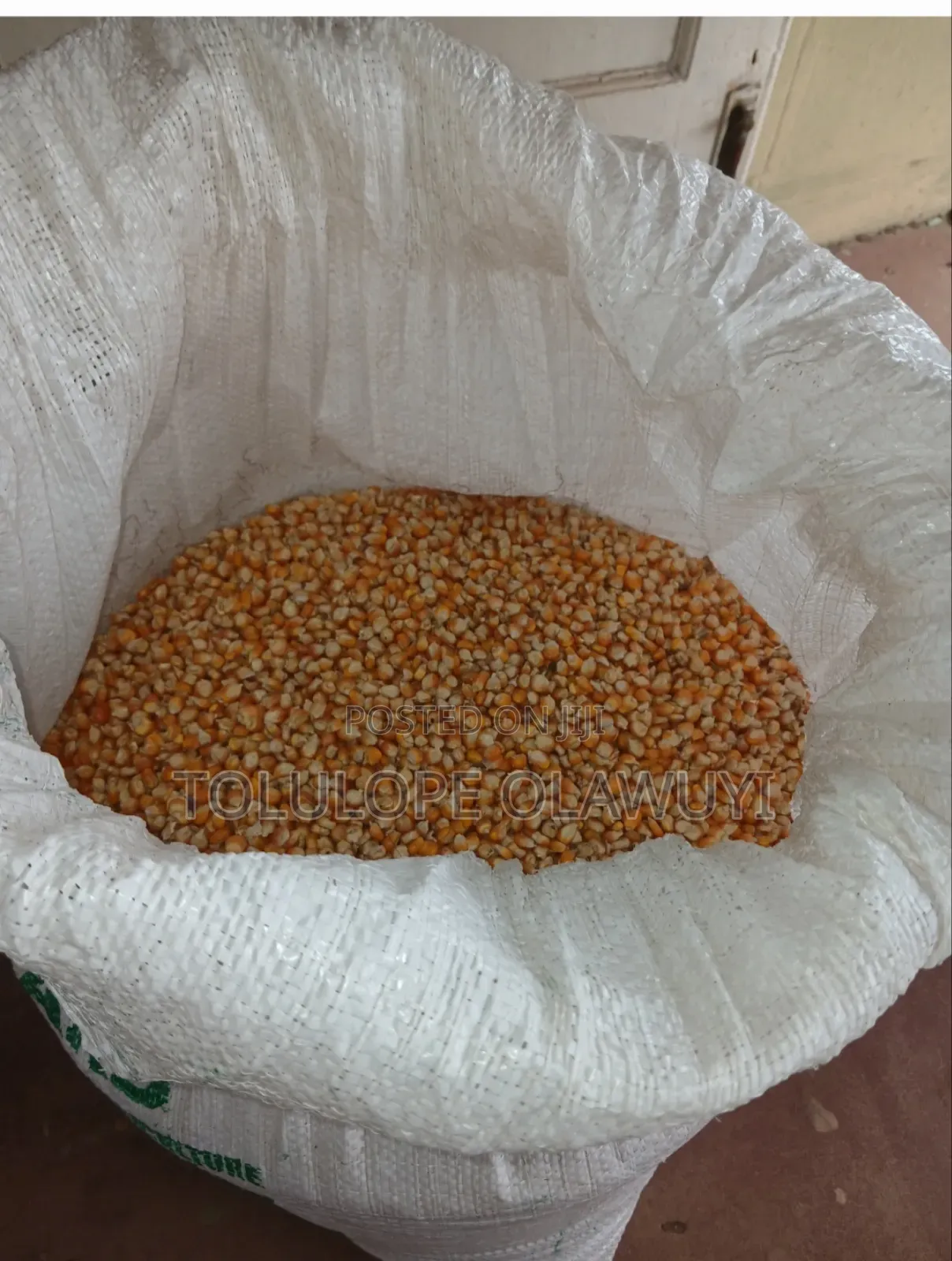 Maize Foundation Seed