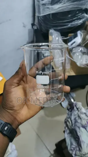 500ml Beaker