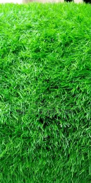 30mm Bundle Grass