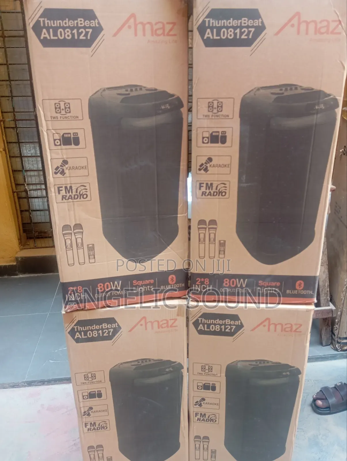 Modern Day Party Speaker