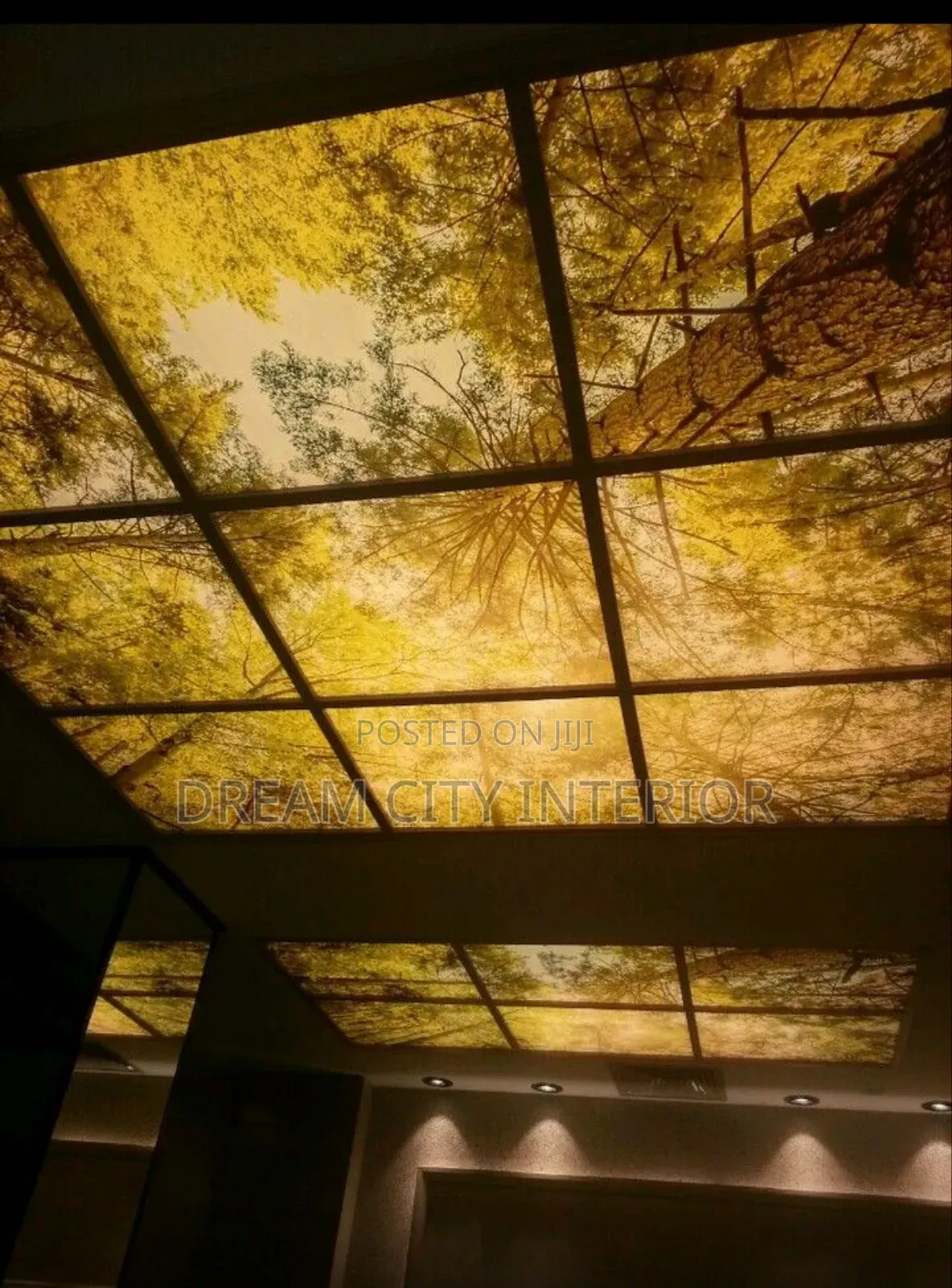 Swimming Pool 3d Stretch Ceiling