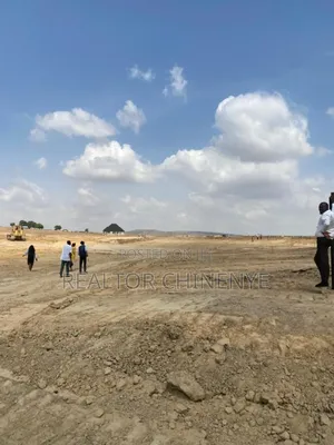 Real Estate