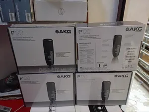 Akg P120 Condenser Microphone