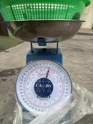 6months Catfish Ready for Sale