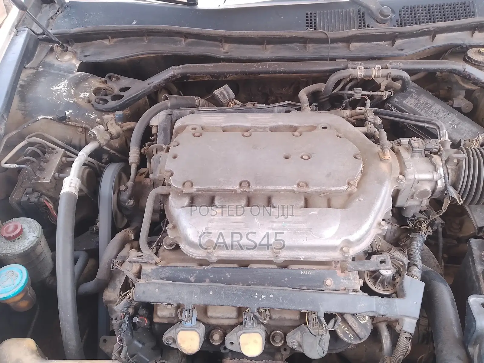 Honda Accord 2009 White