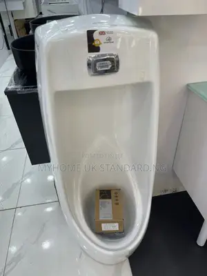 Big Sensor Urinal Bowl