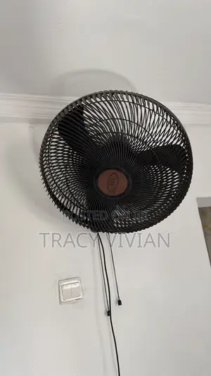Electric Wall Fan