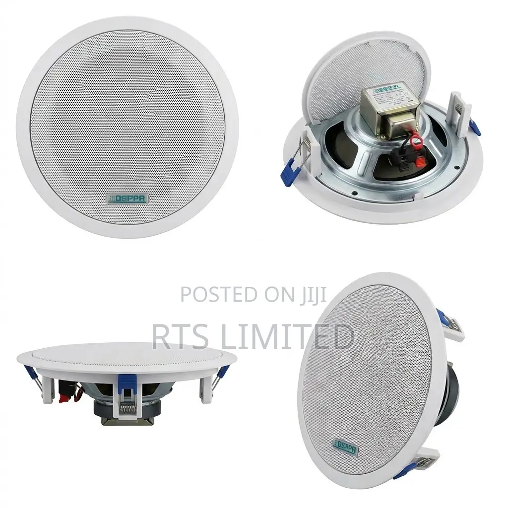 Bluetooth Ceiling Speaker