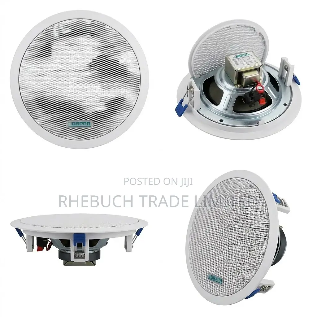 Bluetooth Ceiling Speaker