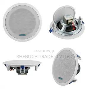 Bluetooth Ceiling Speaker