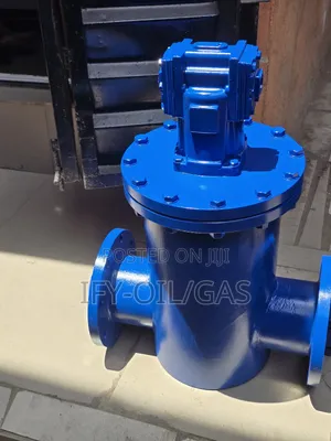 Dn150 Strainer Wit Air Eliminator