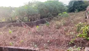 Land for Sale 100 Ft by 100 at Benin City Ekewan Rd Beside Jesus Women