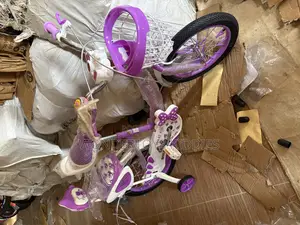 Size 16 Bicycle