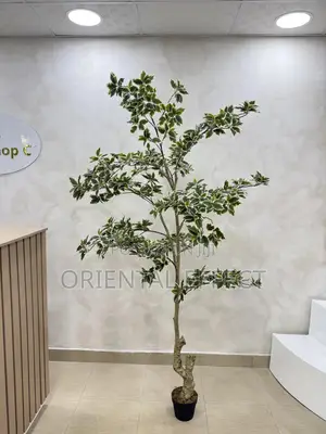 White Edge Banyan Tree | Luxury Artificial Plant for Interior Decor