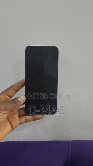 Apple iPhone 15 Pro Max 256 GB Silver
