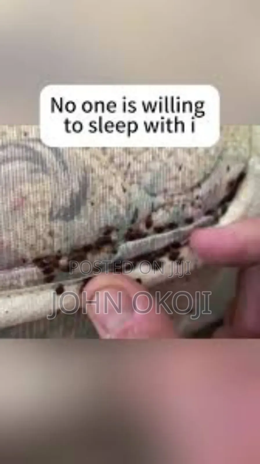 Professional Fumigation Service
