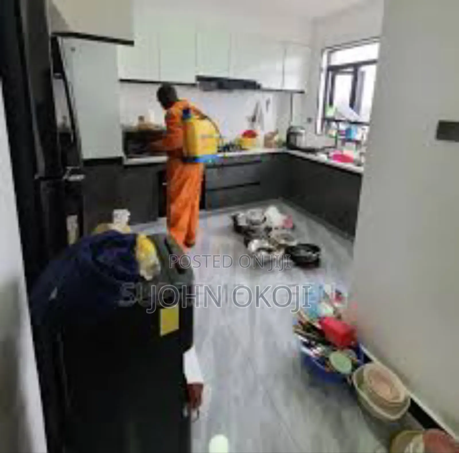 Professional Fumigation Service