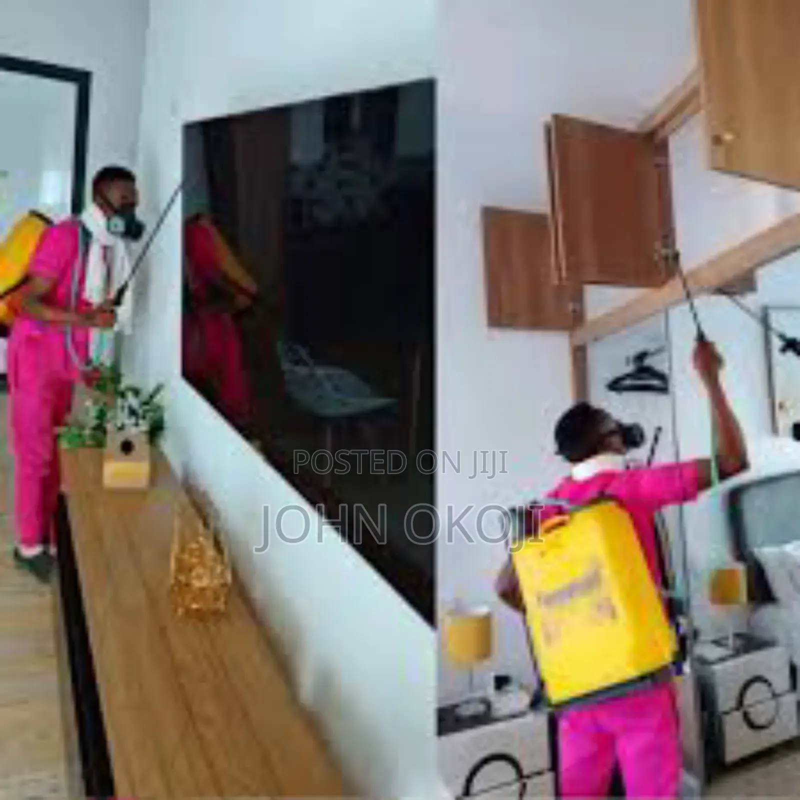 Professional Fumigation Service