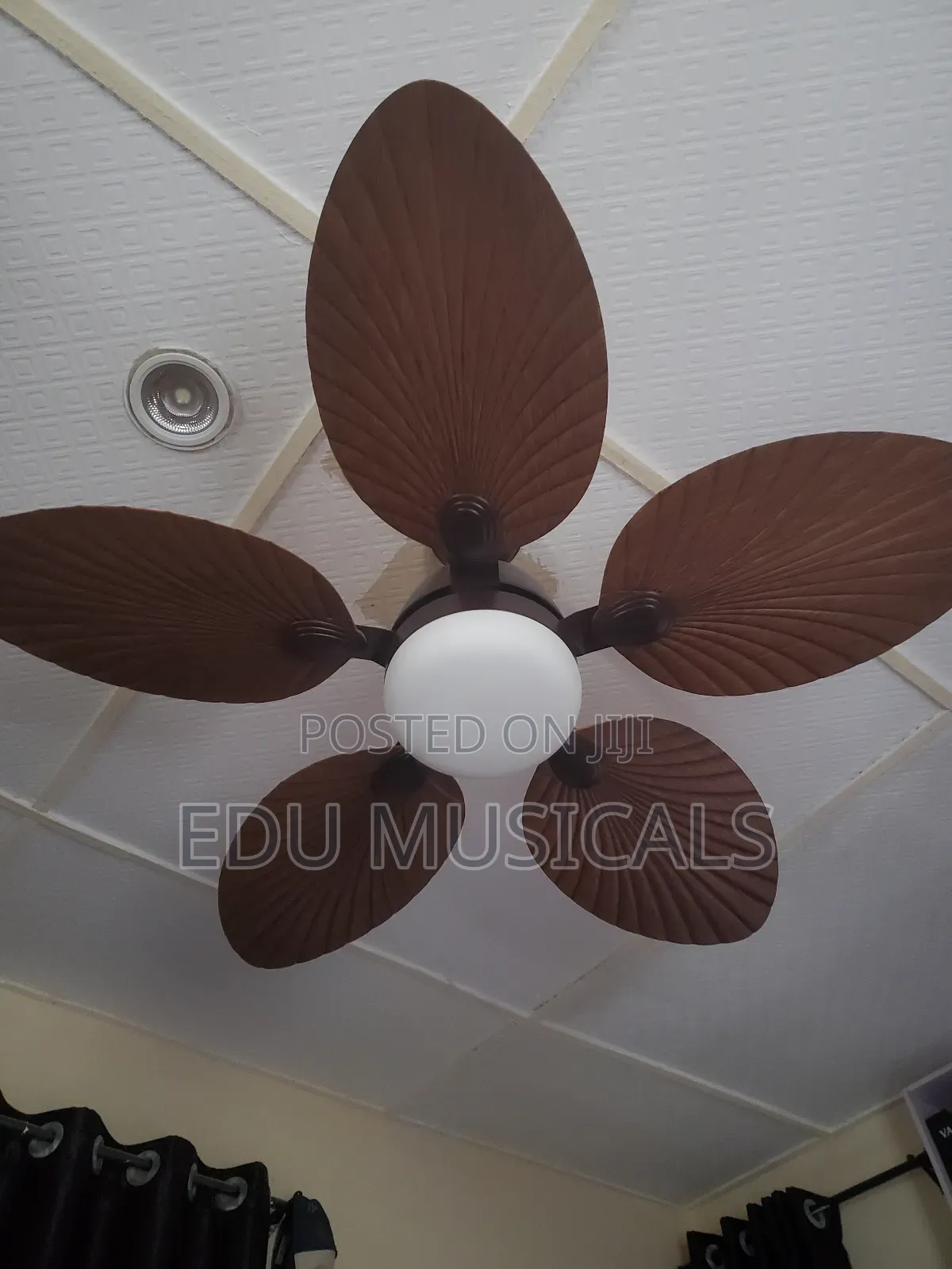 Amazon Fan